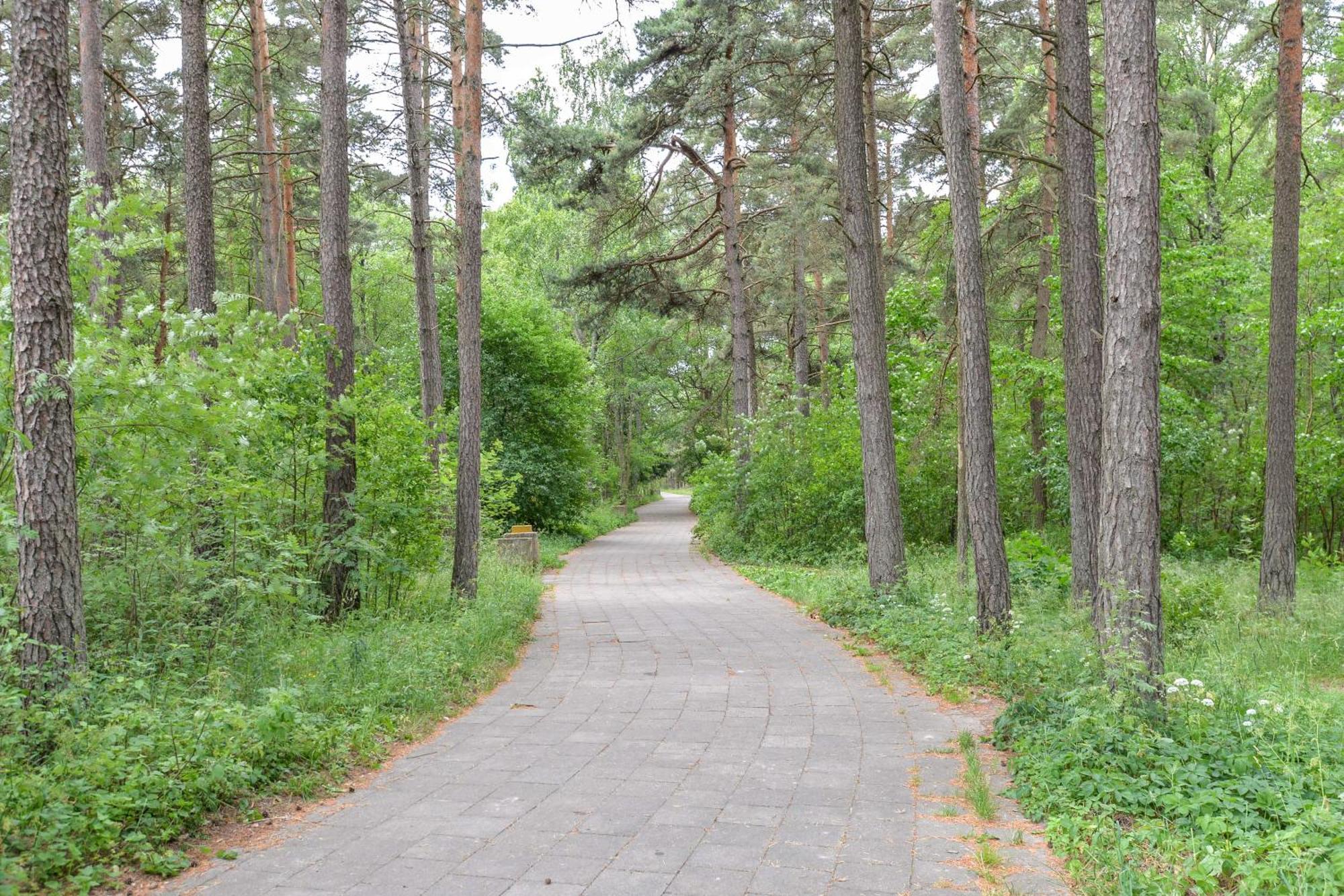 Studija Vanagupes 13 Palanga Ngoại thất bức ảnh